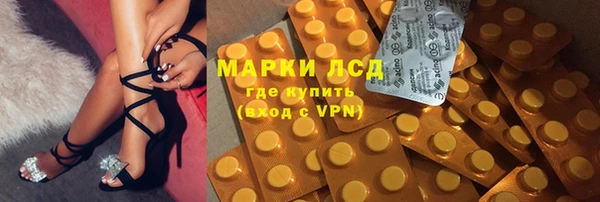 дмт Инсар