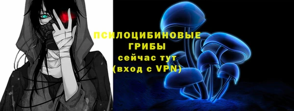стафф Инта