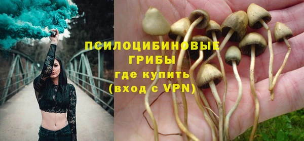 трава Заволжье
