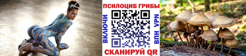 блэк спрут зеркало  Протвино  Псилоцибиновые грибы Psilocybine cubensis 