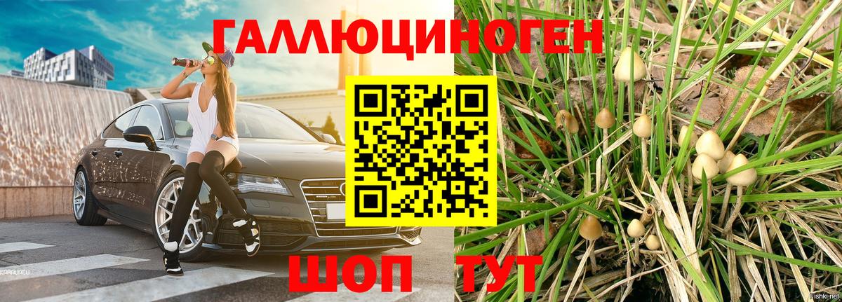 Псилоцибиновые грибы мицелий  Вход с VPN  Протвино 