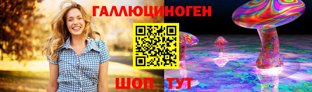 Псилоцибиновые грибы Psilocybe Протвино